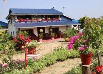 फूलैफूलले सजिएको माडीको अयोध्यामार्ग