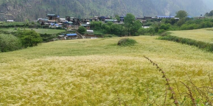 खेती गर्ने समय पनि परिवर्तन हुँदै