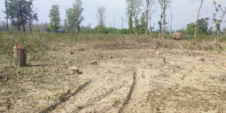 दोधारा चाँदनीमा सुक्खा बन्दरगाह निर्माण तीव्र