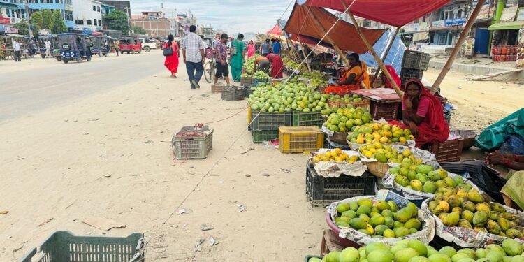आँपको सुवासले मगमगाइरहको छ सिरहा, चिस्यान केन्द्र नहुँदा समस्या