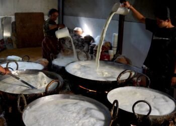 दही व्यवसायीलाई चटारो, तीन दिनदेखि भ्याइनभ्याइ