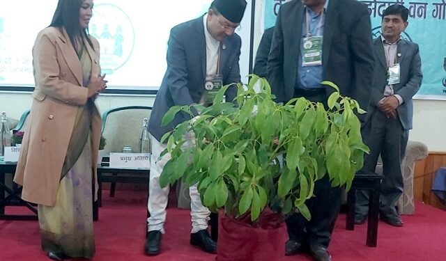 ‘साझेदारी वन गरिब समुदायलाई फाइदा पुर्‍याउने गरी क्रियाशील हुनुपर्छ’