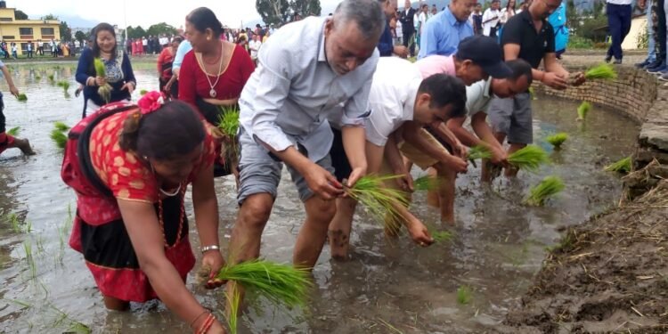 किसानको हितमा सरकार प्रतिबद्ध छः मन्त्री अधिकारी