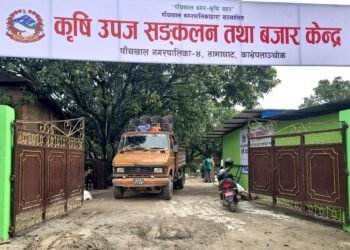 पाँचखालमा ‘विषादीरहित’ तरकारी संकलन केन्द्र सञ्चालन