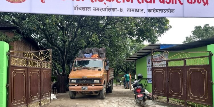 पाँचखालमा ‘विषादीरहित’ तरकारी संकलन केन्द्र सञ्चालन