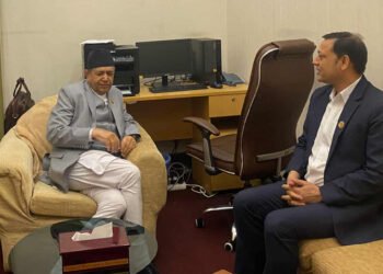 सभामुखले डीपी अर्याल र राजेन्द्र लिङ्देनसँग गरे छुट्टाछुट्टै छलफल