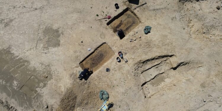 डेनमार्कमा ‘अद्भुत’ भाइकिङ चिहान फेला