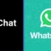 एलोन मस्कको एक्सच्याट व्हाट्सएपभन्दा कति फरक छ ?