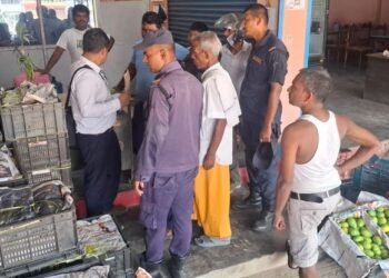 लहानमा बेच्न राखिएका आँप विषादीरहित
