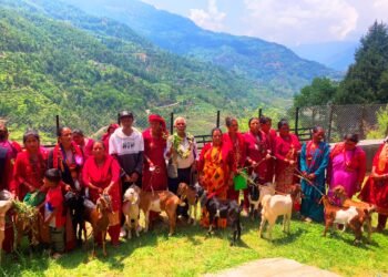 किसानका आयआर्जनमा सघाउन ‘बाख्रा उपहार’