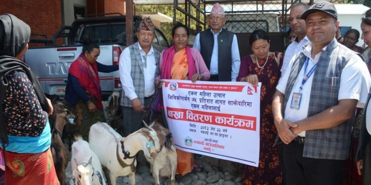 कोशी प्रदेश ‘पान उत्कृष्ट नगरपालिका पुरस्कार–२०८२’ हलेसी तुवाचुङलाई