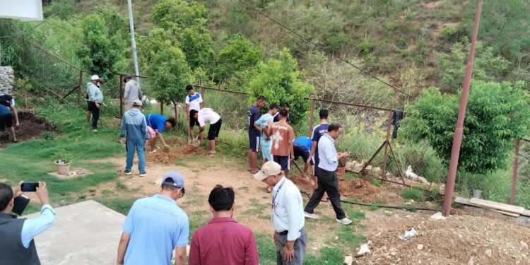 विद्यालयको आम्दानी बढाउन बुद्धचित्तको बिरुवा लगाइँदै