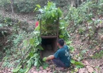 नरभक्षी चितुवा अझै आएन नियन्त्रणमा