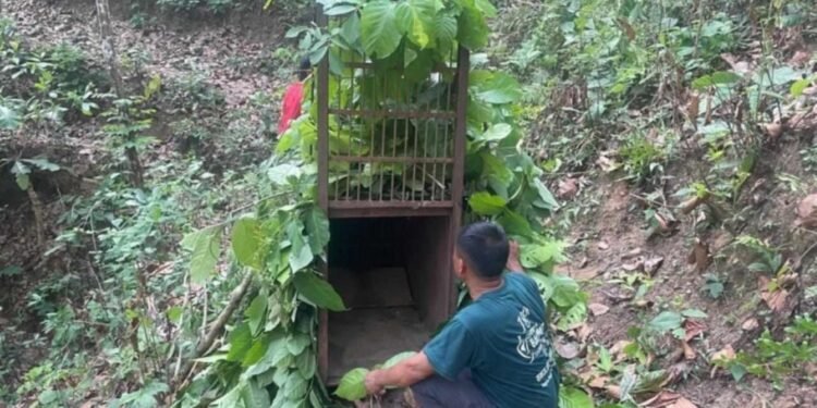नरभक्षी चितुवा अझै आएन नियन्त्रणमा