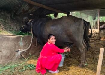 ‘दूधमा प्रोत्साहन अनुदान’ कार्यक्रमबाट कर्णालीका किसान लाभान्वित