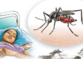 डेङ्गी नियन्त्रणका लागि पहल गर्न संसद्मार्फत सरकारको ध्यानाकर्षण
