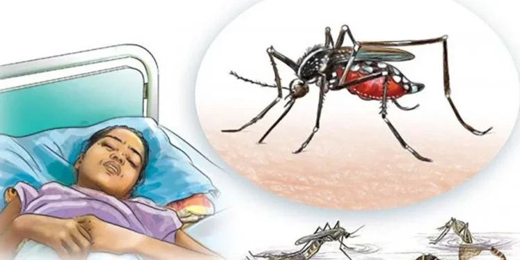 डेङ्गी नियन्त्रणका लागि पहल गर्न संसद्मार्फत सरकारको ध्यानाकर्षण