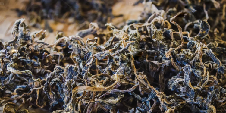 कसरी एउटा सामान्य ‘साग’ नेपालीको पहिचान गुन्द्रुक बन्यो ? यस्तो छ इतिहास