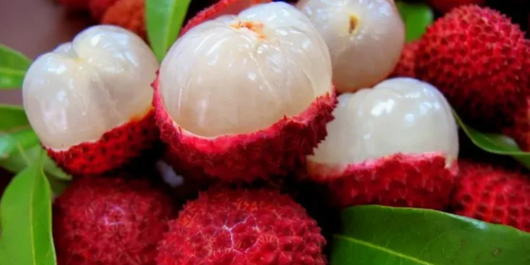 गर्मीमा लिची किन खाने? जान्नुहोस् यी ७ अद्भुत फाइदाहरू