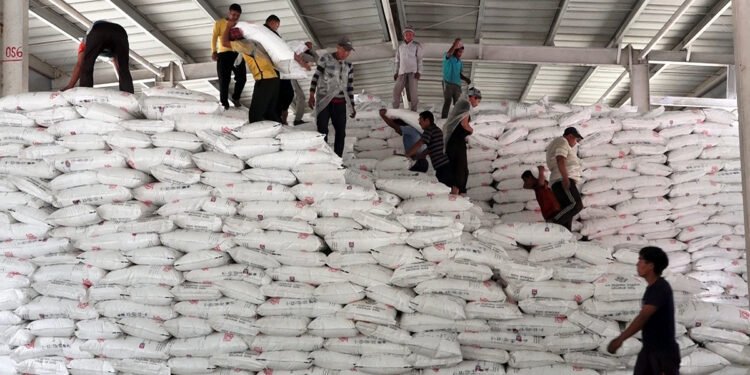 कञ्चनपुरमा कोटामार्फत रासायनिक मल वितरण