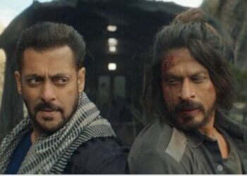 यशराज फिल्मसले रोक्यो शाहरूख-सलमानको संयुक्त प्रोजेक्ट ‘टाइगर भर्सेज पठान