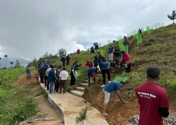 किसानको आयआर्जन बढाउन बिरुवा वितरण