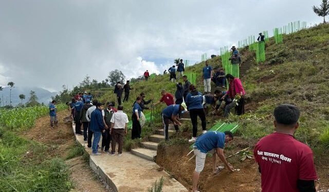 किसानको आयआर्जन बढाउन बिरुवा वितरण