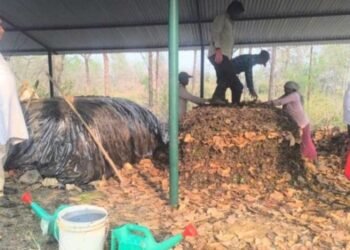 प्राङ्गारिक मल उत्पादनसँगै डढेलो नियन्त्रण