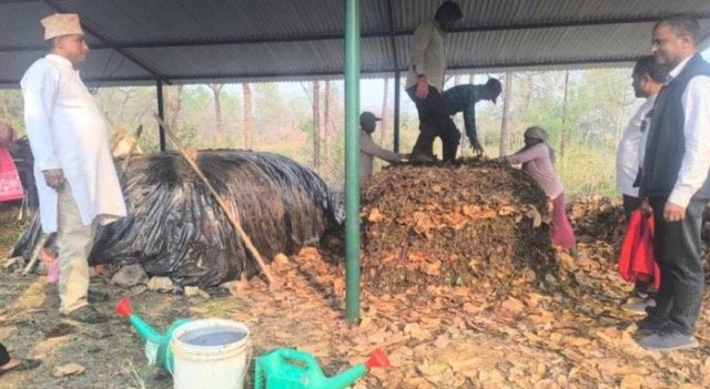 प्राङ्गारिक मल उत्पादनसँगै डढेलो नियन्त्रण