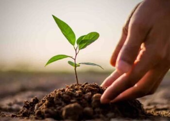 आज वृक्षरोपणको २० वर्षे महाअभियान सुरु गरिदै, ६० करोड बिरुवा रोपिने