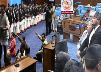 बजेटमाथिको छलफलमा राप्रपा र रास्वपा: बोल्न दिदाँ नबोल्ने, पलेटी मारेर बसेर नाराबाजी गर्ने ?