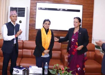 टेलिकमको निमित्त प्रबन्ध निर्देशकमा मास्के
