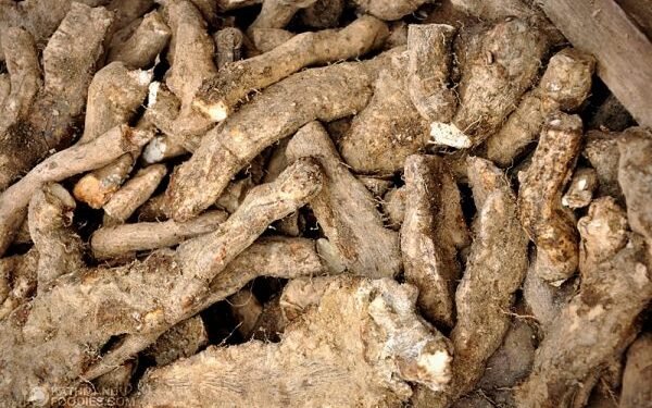 पर्व विशेषको परिकार तरुलको महत्व