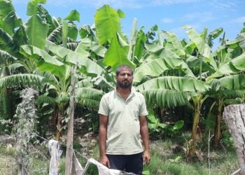 वैदेशिक रोजगारबाट फर्केर केराखेतीमा जमेका भण्डारी