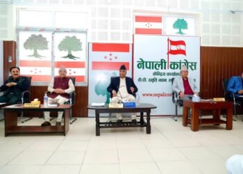 कांग्रेसले संविधान संशोधनका लागि कार्यदल गठन गर्ने