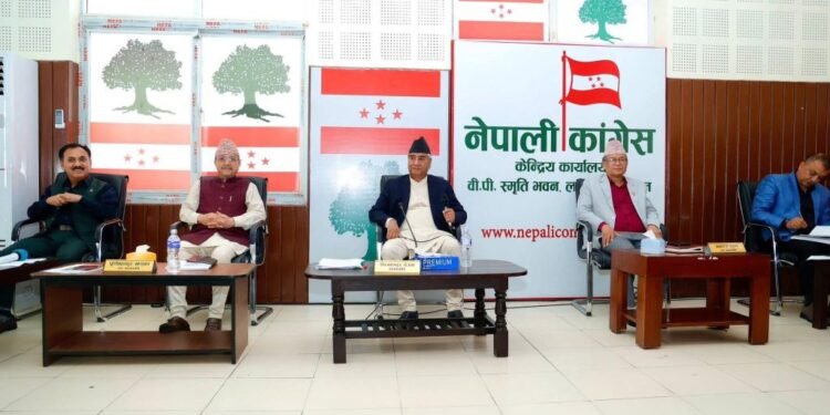 कांग्रेसले संविधान संशोधनका लागि कार्यदल गठन गर्ने