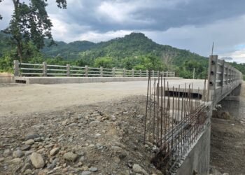 धरान-चतरा खण्डका तीन वटा पुल निर्माण अन्तिम चरणमा