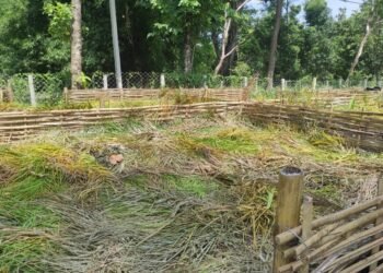 फत्तेपुरमा हरियोपात कुहाएर प्राङ्गारिक मल उत्पादन गरिँदै