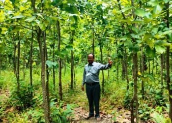 वन संरक्षणसँगै हराएका वन्यजन्तु फिर्ता आउन थाले