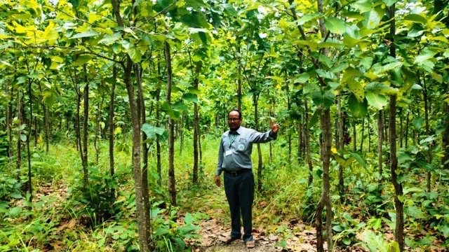 वन संरक्षणसँगै हराएका वन्यजन्तु फिर्ता आउन थाले