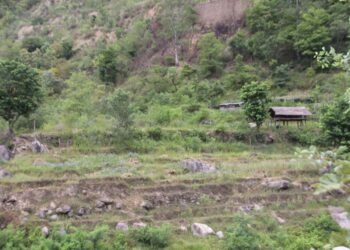 सिँचाइमा क्षति पुग्दा बाँझिए खेतबारी