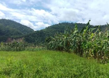 केरा गाउँ ‘बाँस्टारी’