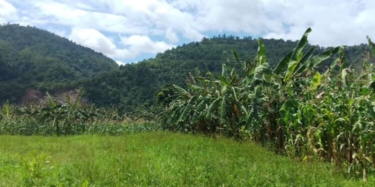 केरा गाउँ ‘बाँस्टारी’