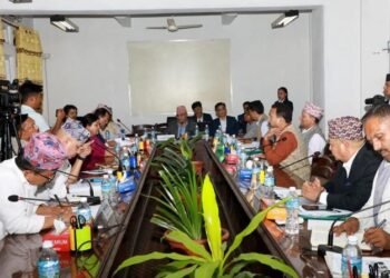 सार्वजनिक लेखा समितिमा बेरुजुको चिरफार : सचिवहरूद्वारा प्रस्तुत चुनौती, प्रगति र सुझाव