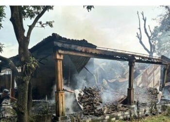 गैंडाकोटको चर्चित बगैंचा रिसोर्टमा बिहानै आगलागी, मुख्य भवन पूर्णरूपमा जलेर नष्ट