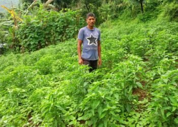 तरकारी र दूध बेचेर मासिक एक लाख आम्दानी