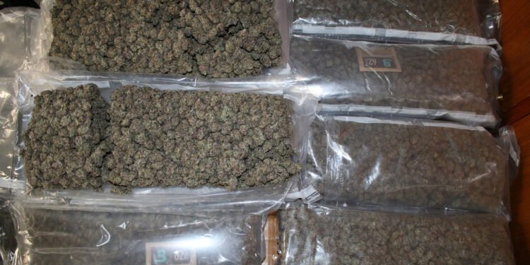 सिरहाको सुखीपुरबाट सात क्विन्टलभन्दा बढी गाँजा बरामद