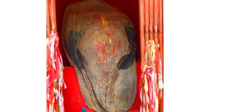 पर्यटकीय क्षेत्र हात्तीढुङ्गामा थपिदै पूर्वधार