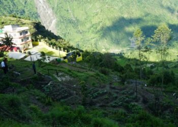 बाँझिएको पाखोबारीमा झाडी फाडेर तरकारी खेती