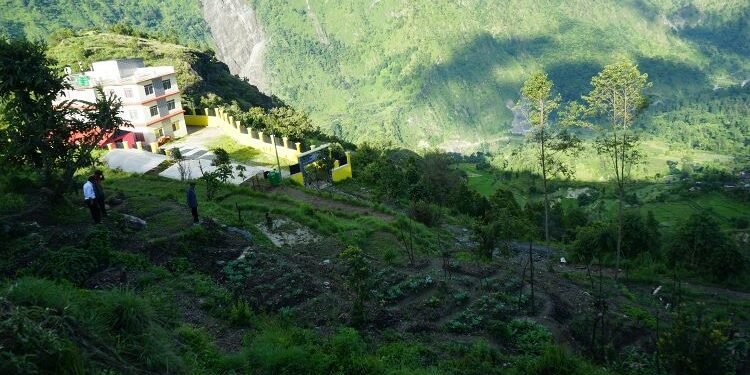 बाँझिएको पाखोबारीमा झाडी फाडेर तरकारी खेती